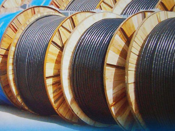 Kedu ihe bụ eriri fotovoltaic?